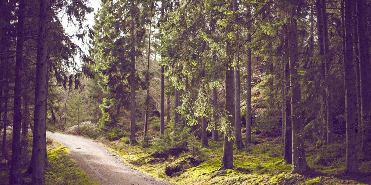 Fintech Revolution: Powering Professional Remote Work - A Tech-Forward Setup Guide