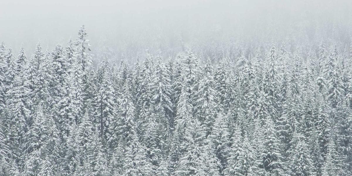Milan-Cortina 2026: Accelerating Sustainable Smart Home Innovation Through the Winter Olympics