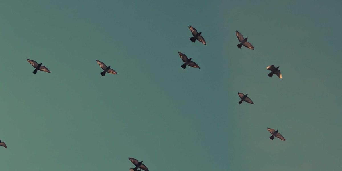 Impending Digital Disaster: Smart Automation as Your Enterprise's Lifeline