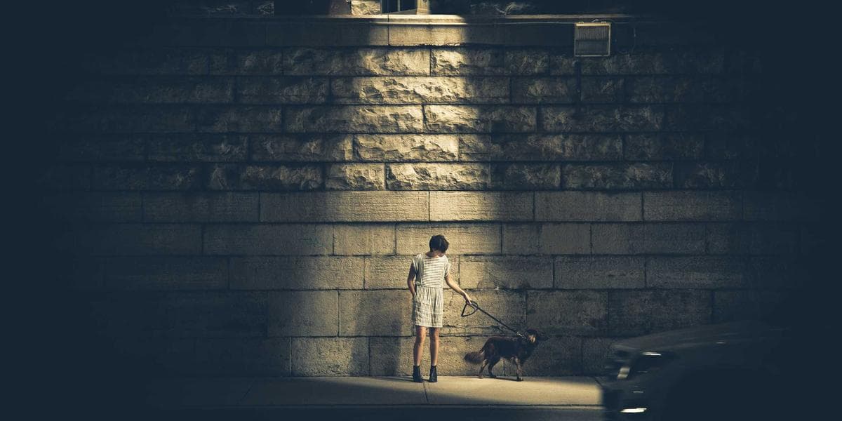 The No-Code Revolution: Enterprise Digital Transformation with 'Look Mum No Computer' Principles
