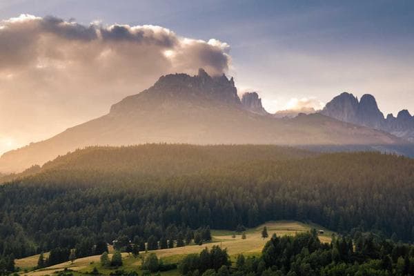 Unlock Remote Work Productivity: Strategic Insights from Juwai Teer's Success