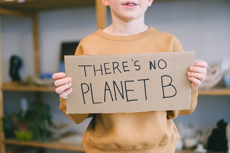 Child holding a "There's No Planet B" sign promoting environmental awareness.